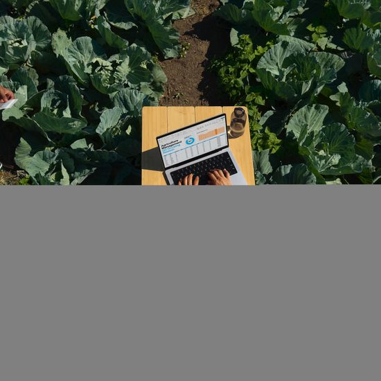 Apple MacBook Pro 16" (M4 Pro 14C CPU, 20C GPU, 2024) 48 ГБ, 512 ГБ SSD, серебристый