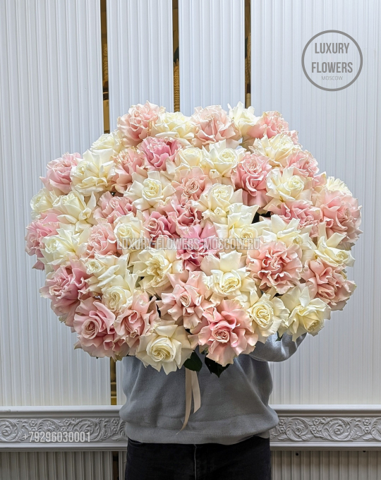 51 французская роза  pinky fog