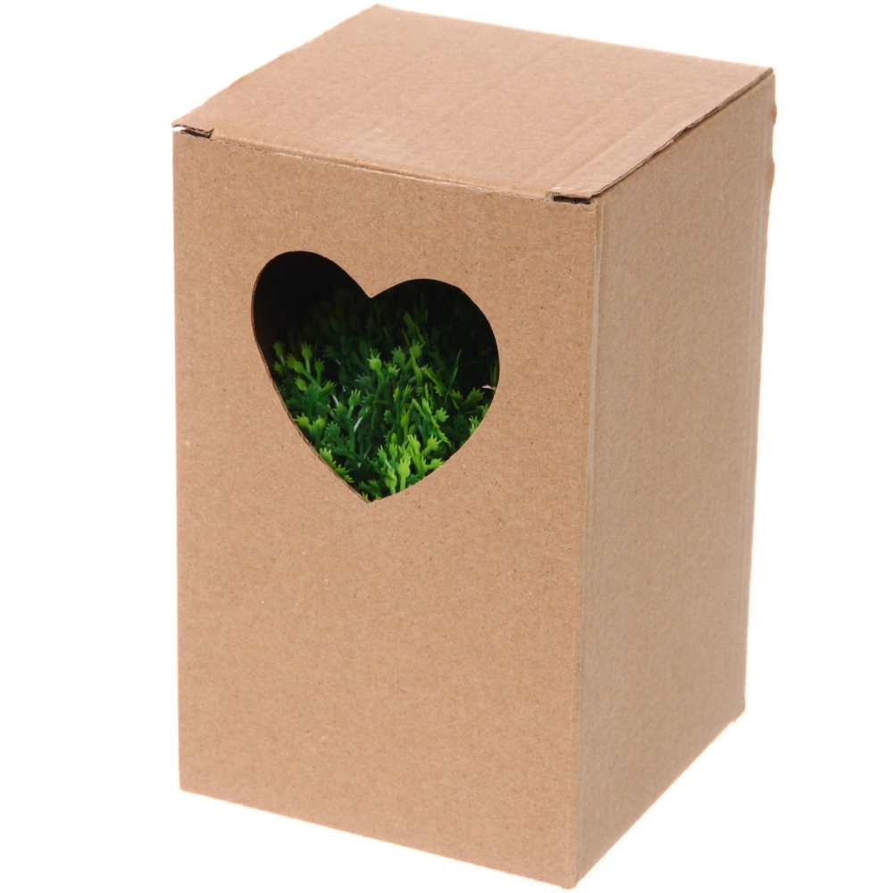 Цветочная композиция «Green garden» 10*12см в горшке, туя