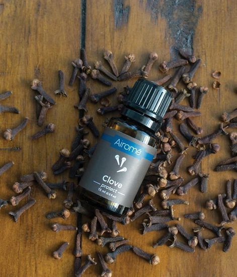 Гвоздика ароматическое масло, Candle Warmers