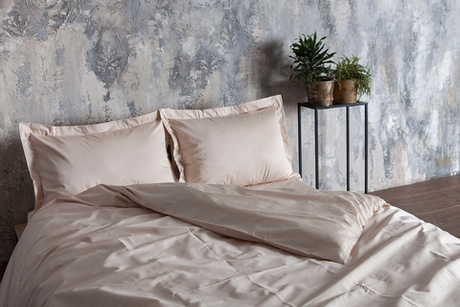 Наволочка с запахом 50х70 Luxberry Daily Bedding телесная