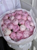 Букет 25шт розовых пионов