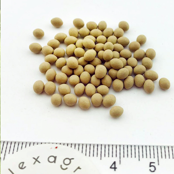 Актина семена салата ромэн (Syngenta / ALEXAGRO) семена – фото 5