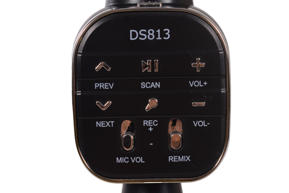 Микрофон 24см, коробка DS813