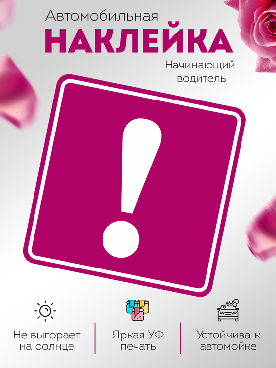 наклейка на авто Начинающий водитель для девушек