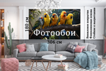 Фотообои 306х180