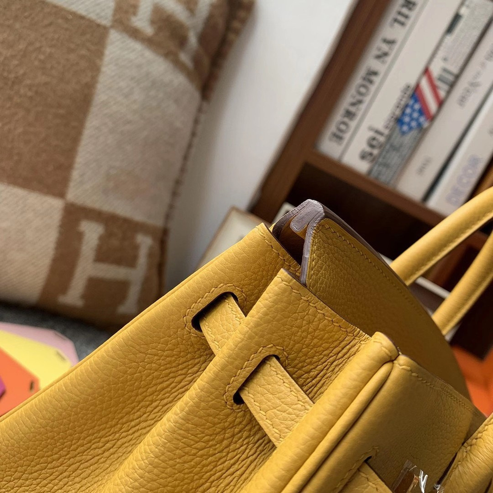 Hermes Birkin 25