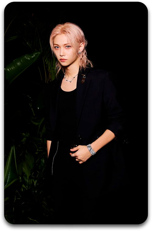 Карта / STRAY KIDS #4315