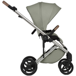 Детская коляска Anex Eli 2 в 1 без рюкзака Excite el-02