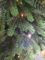 Елка с гирляндой 2в1 «Венецианская» (Литая+пвх) 210 см / 2,1 м