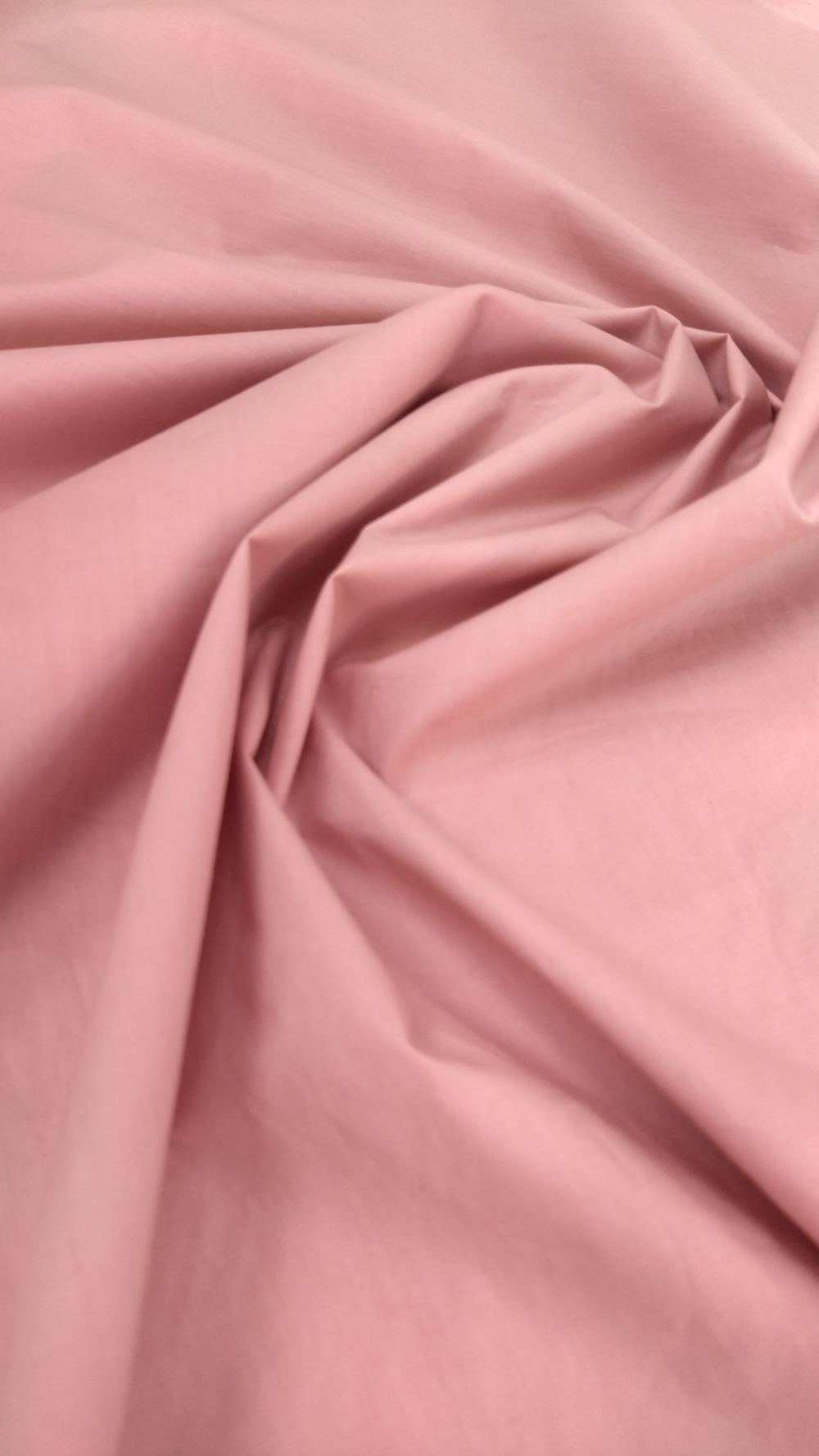 Плащевка Zegne