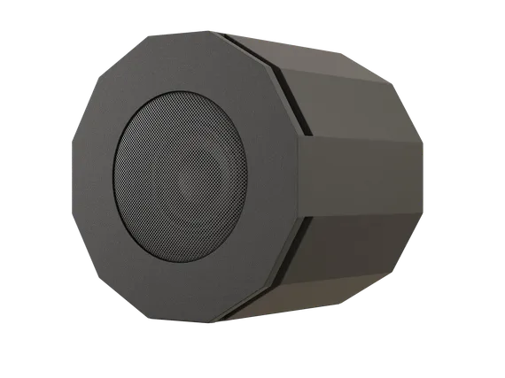 CVGAUDIO SUBone model D-6BL/CR подвесной сабвуфер, мощность 80W/160W