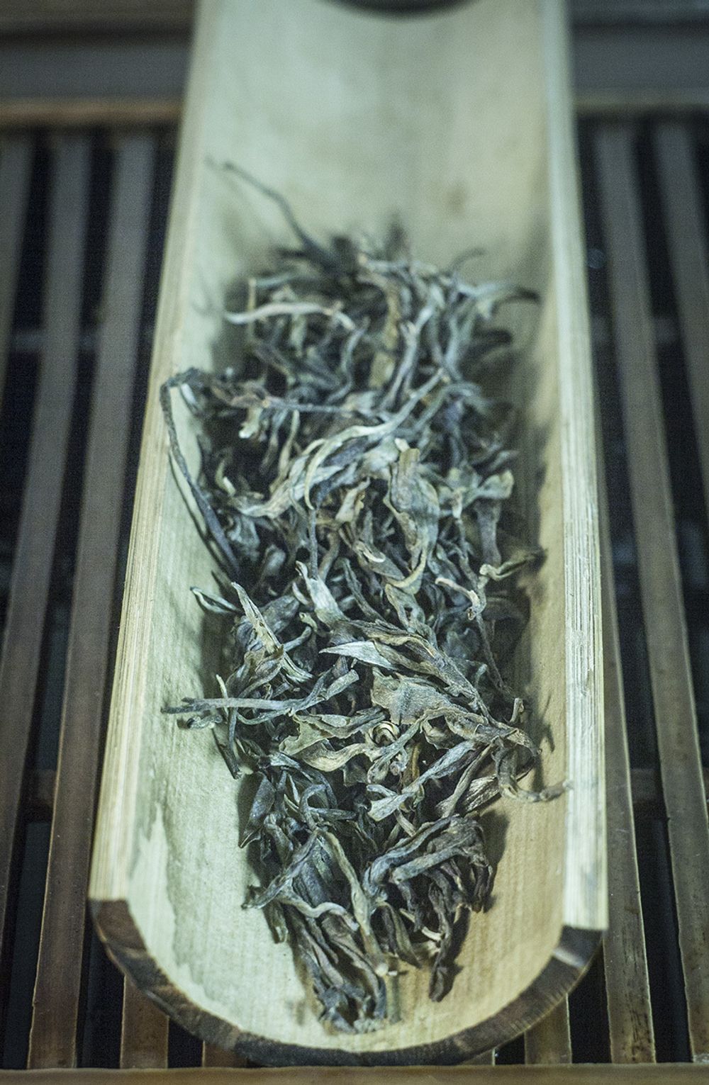 Шэн пуэр ранневесенний из Мэнсун, урожай 2022 г