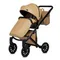 Коляска ANEX e/type 3 в 1 (CrN-13) caramel