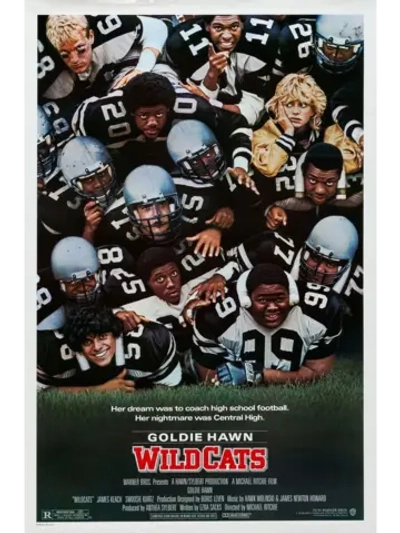 Дикие кошки (1986) (DVD-R)