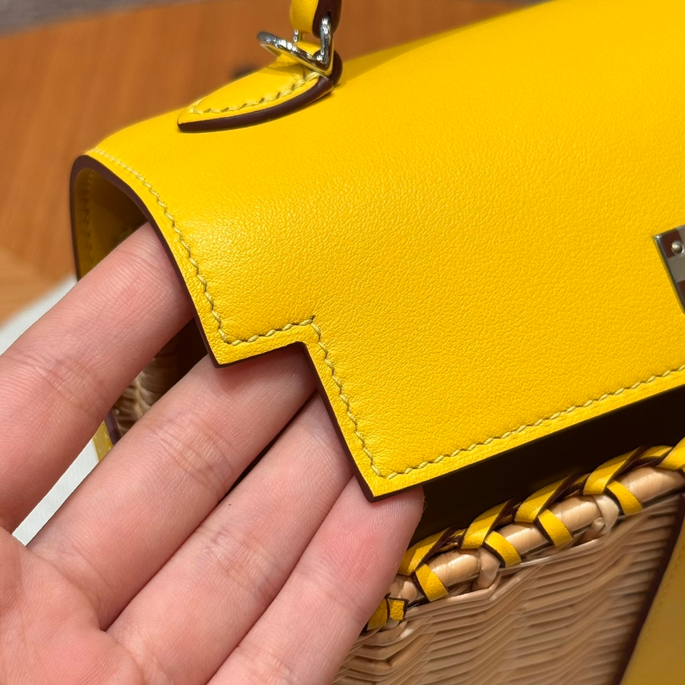 Hermes Picnic Kelly 20