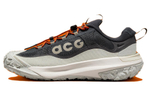 Кроссовки Nike Acg Mountain Fly 2 Low Gore-Tex