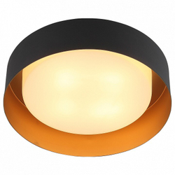 Накладной светильник ST-Luce SL392.422.04