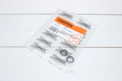 Кольцо уплотнительное компрессора Cummins ISBe 13819 /4895710/