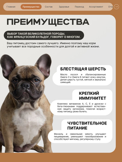 Корм сухой для пожилых собак породы Французский бульдог старше 7 лет, с индейкой, 800 гр, QUATTRO