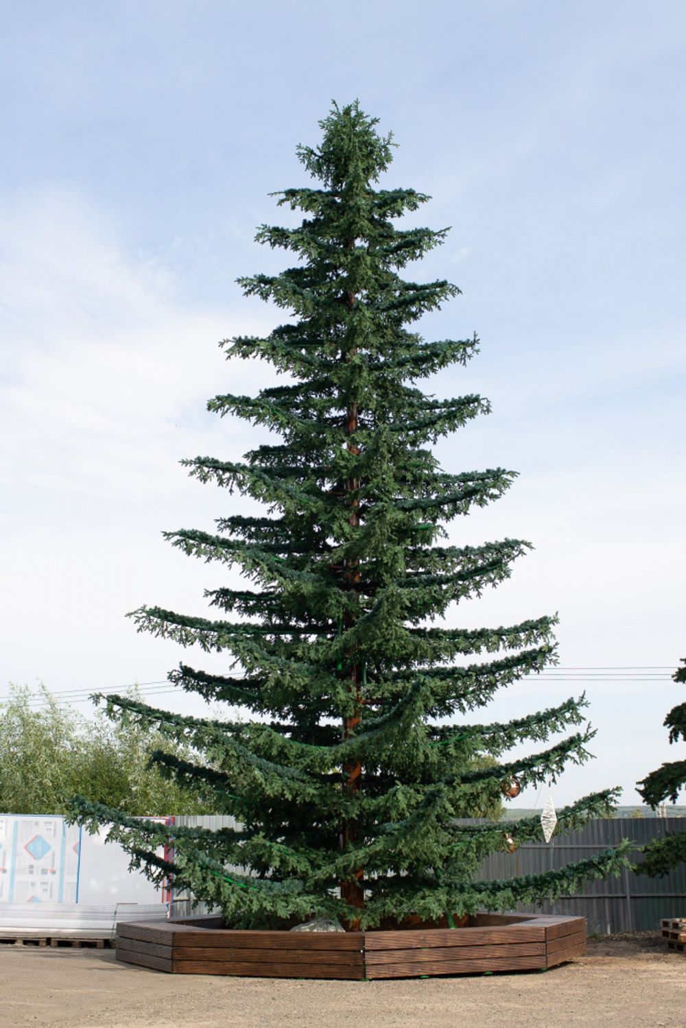 Уличная ствольная елка со скамейкой "Лесная" (Литая хвоя) от 6 м до 18 м
