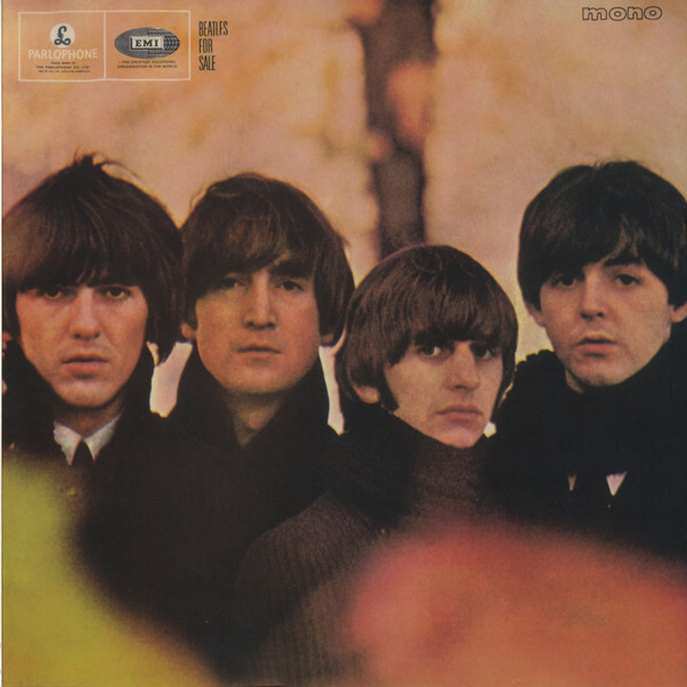 The Beatles / The Beatles In Mono (14LP)