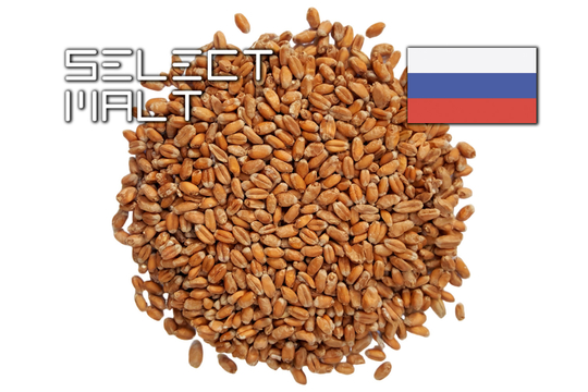 WHEAT (SELECT MALT)