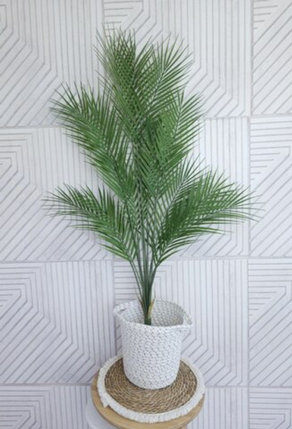 Пальма Арека 110 см