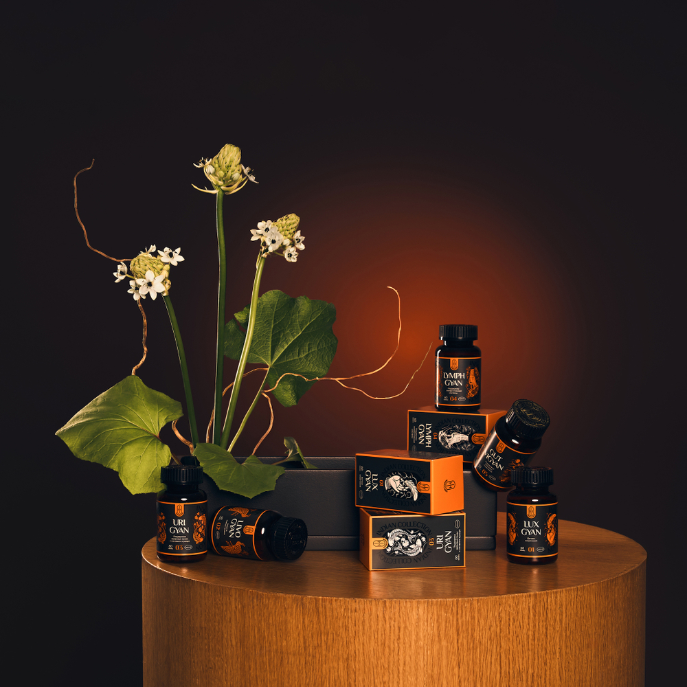 GUT VIGYAN Аюрведический комплекс ГАТ ВИГЯН Восстановление кишечника 60шт