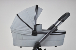 Детская коляска Anex l/type 2 в 1 lt-10t frost