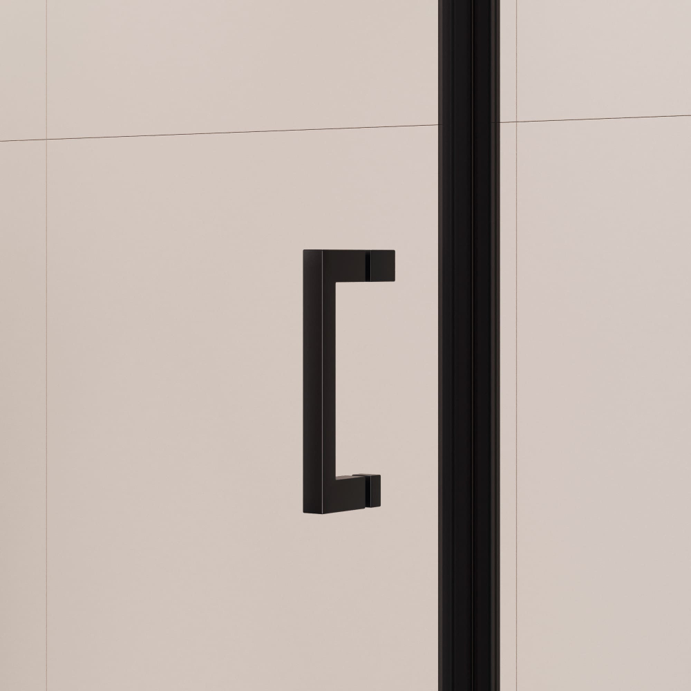 Душевой уголок RGW PA-245B (Прозрачное, 900x1000)