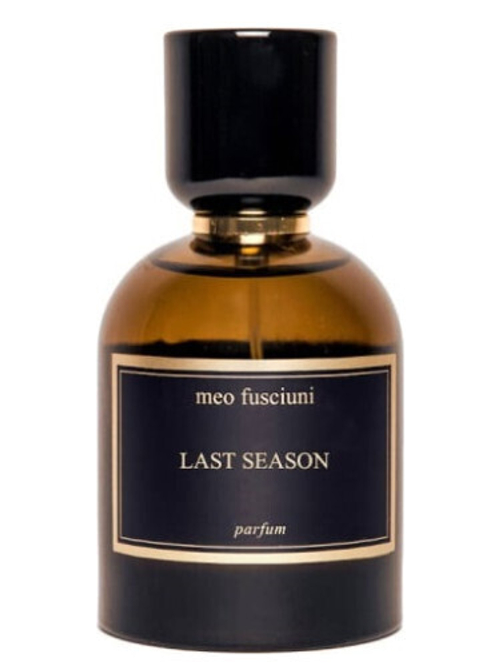 Meo Fusciuni Last Season