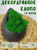 Декоративное кашпо из гипса со мхом черный матовый