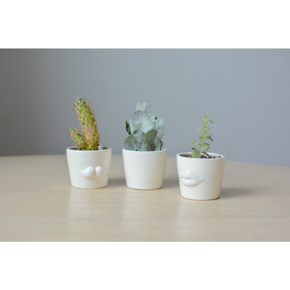 Набор для выращивания eco мини-кашпо «Губы»