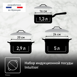 Набор посуды Tefal Intuition 6 предметов 1,3/2,9/5л 16/20/24см B864S674