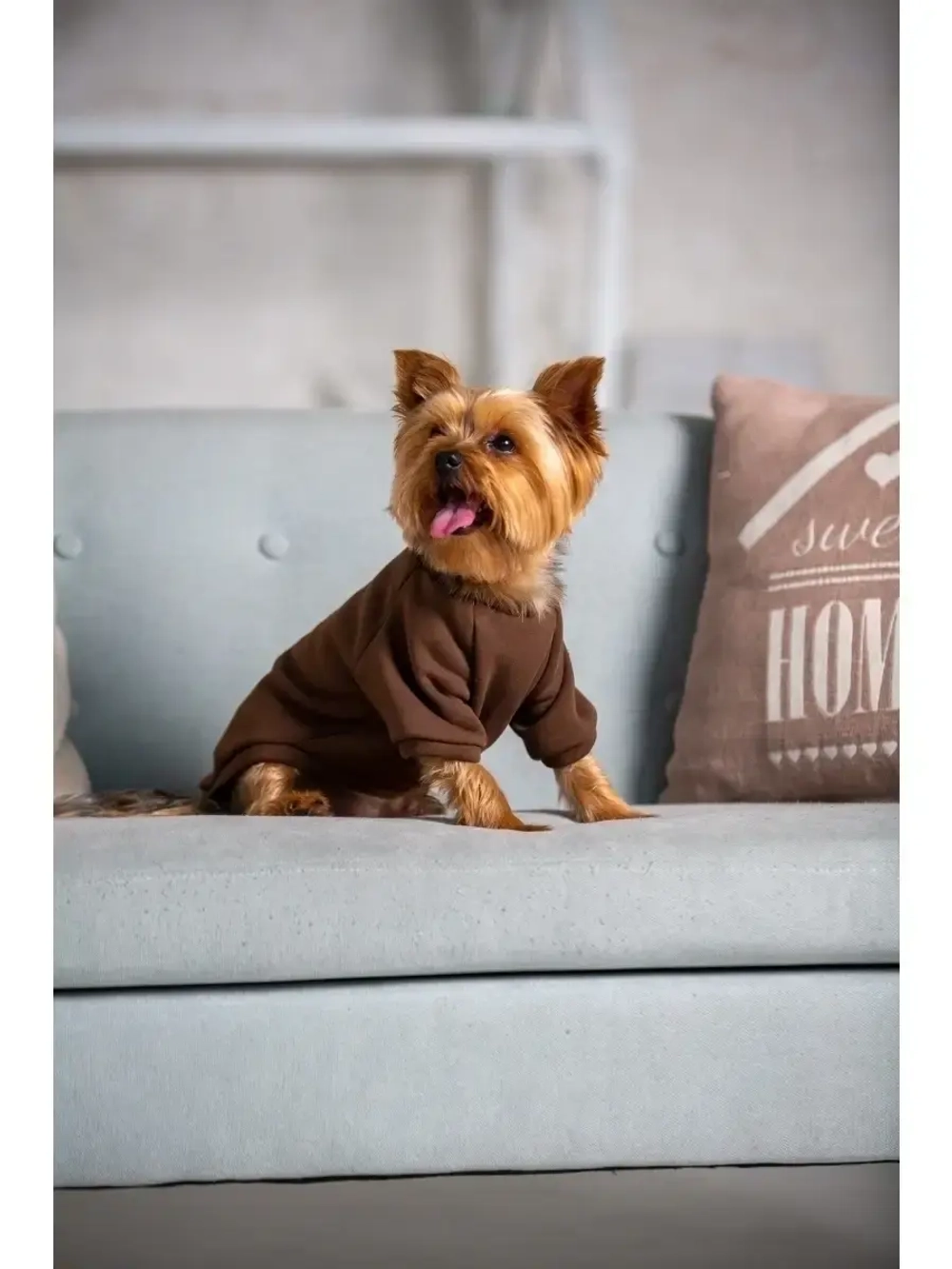 Толстовка худи кофта свитер для собак кошек и  животных