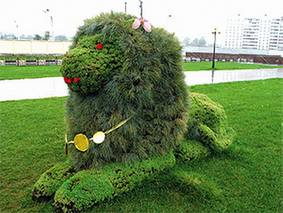 Топиарная фигура Лев