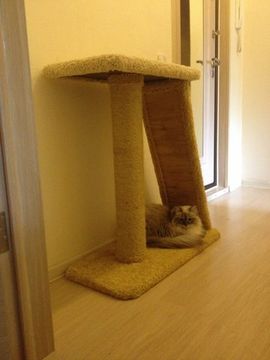 Когтеточка К-15