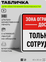 Табличка для обеспечения безопасности "Зона ограниченного доступа, только для сотрудников", для производства, предприятия, организаций, 40х30 см, Silver Plane x Айдентика Технолоджи