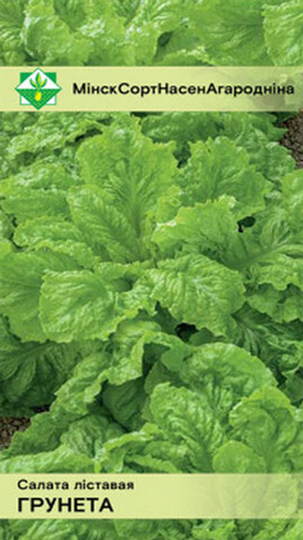 Салат листовой "Грюнетта" 1г, Германия.