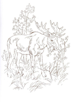 Альбом для раскрашивания полноцветный. Раскраски