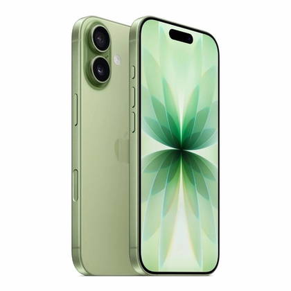 Apple iPhone 17 256 ГБ зелёный (sage)