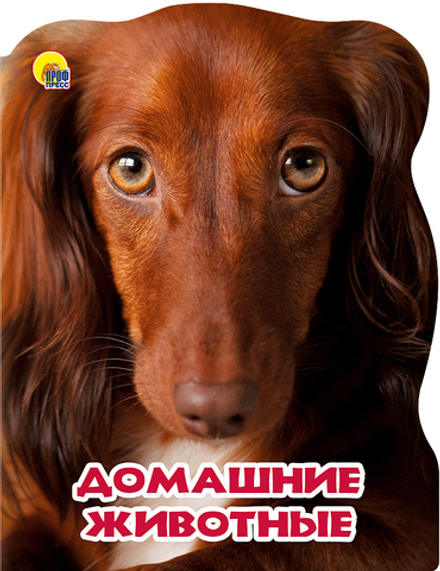 ДОМАШНИЕ ЖИВОТНЫЕ. МИР ЖИВОТНЫХ. Картонные книги
