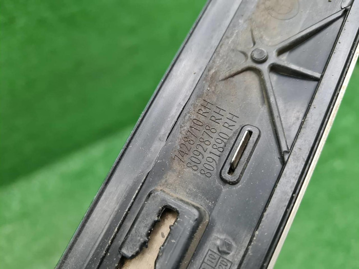 Накладка двери задняя правая BMW X7 G07 (2019-нв)