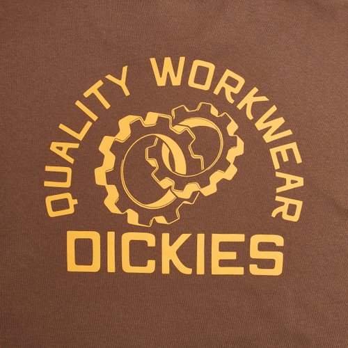 Лонгслив Dickies Payson 2-in-1 Let T-shirt артикул:DK0A88JF0TB1 - купить в магазине Дайс