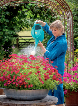 A Year Full of Pots: Container Flowers for All Seasons