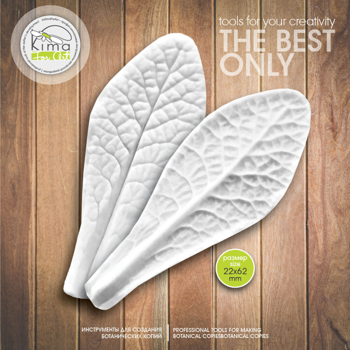 Примула лист маленький