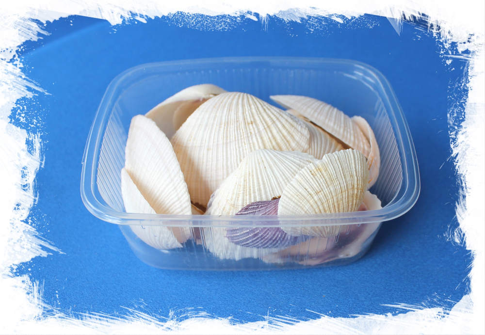 Асафис виоласкенс