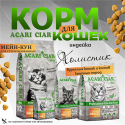 Acari Ciar ВЕТ А КЭТ Мейн-кун Стерилизованный. Индейка