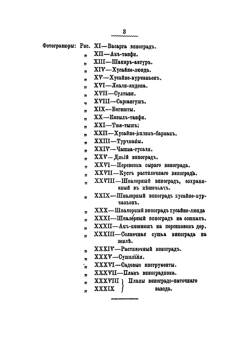 Виноградарство в Самаркандском уезде | Н. М. Вирский
